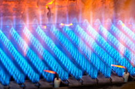 Wormbridge gas fired boilers
